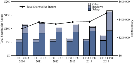 NEO Summary Compensation Chart, 2010-2015